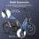 Bicicletta Elettrica FAFREES F20 Mate 250W Batteria 48V 20Ah