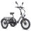 Triciclo Eléctrico Fafrees F20 Mate Motor 500 W Batería 48 V 21 Ah Neumáticos 20"
