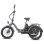 Triciclo Eléctrico Fafrees F20 Mate Motor 500 W Batería 48 V 21 Ah Neumáticos 20"