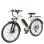 Bicicleta eletrica Headeer BK1350 48V 15Ah 26 polegadas