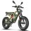 Bicicletta elettrica FAFREES F20 Ultra 750W 48V 25Ah