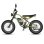 Bicicletta elettrica FAFREES F20 Ultra 750W 48V 25Ah