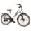 Bicicletta Elettrica Headeer BD26195Shimano 7 Velocita 350W 48V 11,5Ah