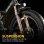 E-Bike Univercycle B3 48V 13Ah Shimano 7-Gang