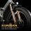 E-Bike UNIVERCYCLE B3 faltbar 48 V 13 Ah Shimano 7-Gang 20 Zoll