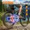 Bicicleta Eléctrica Zazawork CF29 Motor 250 W Batería 48 V 15 Ah 21 Velocidades 29"