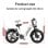 Bicicletta elettrica Nathaniel SYR08 Doppio Motore 48V 20Ah Freni Idraulici 20"