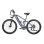 Bicicletta elettrica Nathaniel SYR03 48 V 20 Ah Shimano 7 velocità
