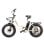 Bicicleta Eletrica Univercycle B5 Venere Porta Bagagens