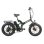 Bicicleta elétrica Univercycle B4 Eris dobrável 48 V 13 Ah verde