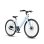 Freedare JB1015 Elektro Fahrrad Damen Tiefer Einstieg 36V 10Ah