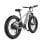 Bicicletta Elettrica Freedare JB1010-Saiga 250W Bafang