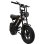 Bicicleta Elétrica Baolujie F2 Dobrável 250W 48V 16x4.0 40-50 km
