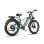 Bicicletta Elettrica Wildeway Soared Pro Grigio