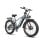 Bicicletta Elettrica Wildeway Soared Pro Grigio