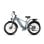 Bicicletta Elettrica Wildeway Soared Pro Grigio