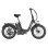 Bicicleta Eléctrica Plegable Wildeway FW11S 48 V 250 W Batería 35 Ah 20"