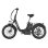 Bicicleta Eléctrica Plegable Wildeway FW11S 48 V 250 W Batería 35 Ah 20"