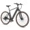 Bicicleta Eléctrica Yangor H700 250 W 65 Nm Sensor de Par 25 km/h
