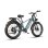 Bicicletta Elettrica Wildeway Soared MAX Motori Doppi 48V 30Ah
