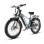 Bicicletta Elettrica Wildeway Soared MAX Motori Doppi 48V 30Ah