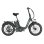 Bicicleta Eléctrica Plegable Wildeway FW11S 250 W 48 V 35 Ah 20" Verde