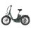 Bicicleta Eléctrica Plegable Wildeway FW11S 250 W 48 V 35 Ah 20" Verde