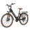 Bicicleta Eléctrica Sinohon EM300 26" Motor 250 W Batería Removible 36 V