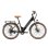 Bicicleta Eléctrica Sinohon EM300 26" Motor 250 W Batería Removible 36 V