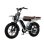Bicicleta Elétrica Velopro M9 Dupla Bateria 130 km 250 W Pneus 20"