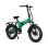 PVY Z20 Plus Elektro-Trekkingrad Grün