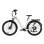 Bicicleta Eletrica TTGO Z3 Bateria Removivel 48V 15Ah Freios Hidraulicos