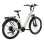 Bicicleta Eletrica TTGO Z3 Bateria Removivel 48V 15Ah Freios Hidraulicos