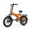 Bicicletta Elettrica PVY Z20 Plus fuoristrada