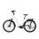 Bicicletta elettrica TTGO Z5 motore centrale 250W batteria 36V 18Ah
