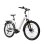 Bicicletta elettrica TTGO Z5 motore centrale 250W batteria 36V 18Ah