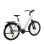 Bicicletta elettrica TTGO Z5 motore centrale 250W batteria 36V 18Ah