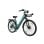 E-Citybike VELOPRO C1 PRO dunkelgrün 36 V 18 Ah