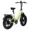 Bicicletta elettrica Bodywel F20 Pro pieghevole 20 pollici verde