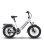 Bicicleta Eléctrica Plegable Bodywel F20 250 W 48 V 13,5 Ah 20"
