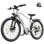Velo Elettrico Urbano Toofly T8 Shimano 7 Velocità