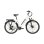 Bicicleta Eléctrica TTGO C3 SE 250W/52 Nm/36V 18Ah 28"