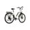 Bicicleta Eléctrica TTGO C3 SE 250W/52 Nm/36V 18Ah 28"