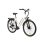 Bicicleta Eléctrica TTGO C3 SE 250W/52 Nm/36V 18Ah 28"