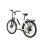 Bicicleta Eléctrica TTGO C3 SE 250W/52 Nm/36V 18Ah 28"
