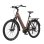 Bicicleta Eléctrica TTGO Z5 Motor Central 250 W Batería 36 V 18 Ah Marrón