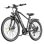 Bicicletta Elettrica Urbana Toofly T8 48V 13Ah Shimano 7 velocità