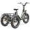 Triciclo eléctrico Hidoes HD-ET1 Motor 750 W Batería 48 V 20 Ah Plegable Verde