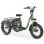 Triciclo eléctrico Hidoes HD-ET1 Motor 750 W Batería 48 V 20 Ah Plegable Verde