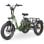 Triciclo eléctrico Hidoes HD-ET1 Motor 750 W Batería 48 V 20 Ah Plegable Verde
